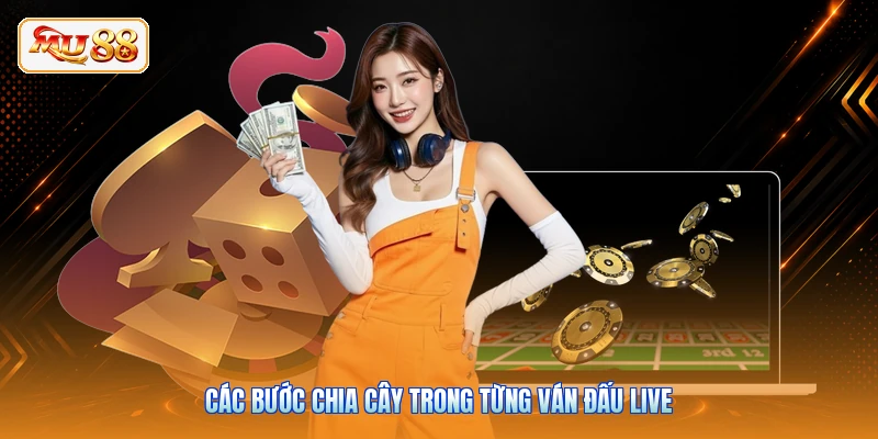 Các bước chia cây trong từng ván đấu live