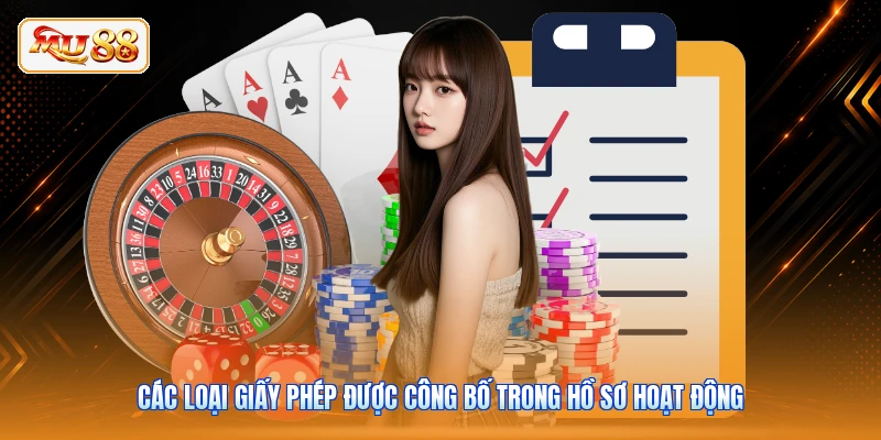 Các loại giấy phép được công bố trong hồ sơ hoạt động
