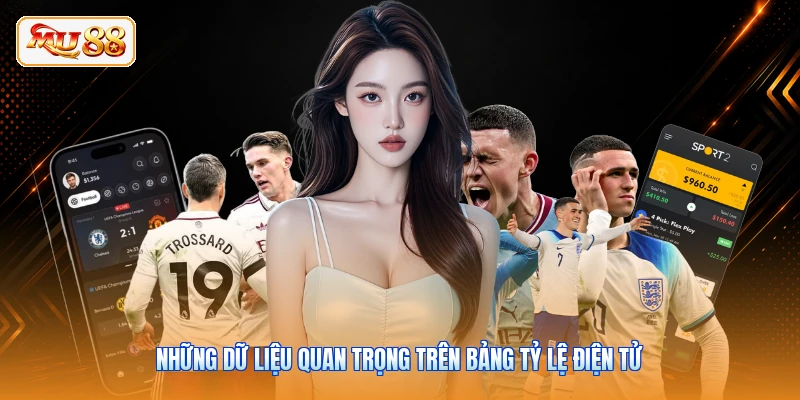 Những dữ liệu quan trọng trên bảng tỷ lệ điện tử
